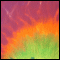 021 Tie Dye Twill